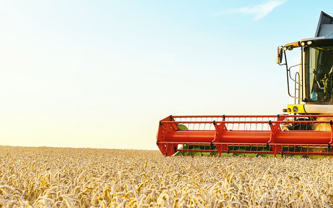 Markforschungs-Studie AgriMA 2019